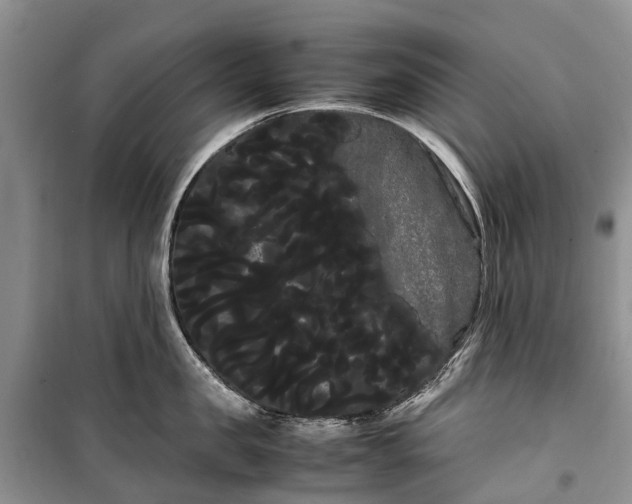 X0000100220957200806131311