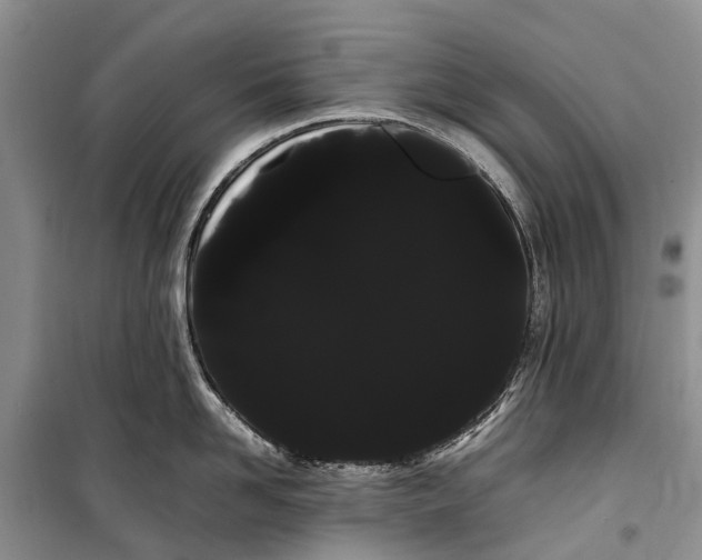 X0000100220958200806131311