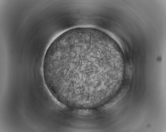 X0000100220959200806131311