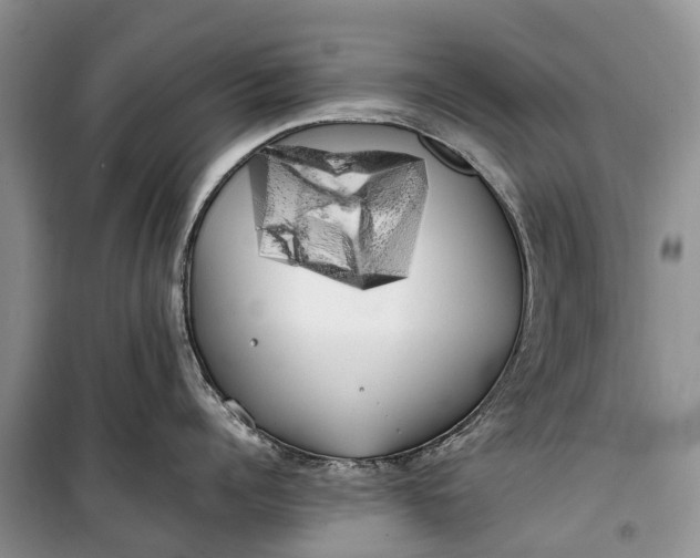 X0000100220960200806131311