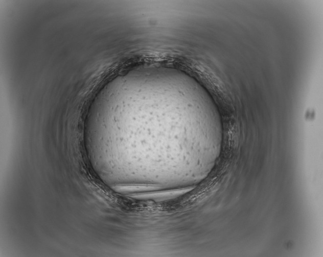 X0000100220961200806131310