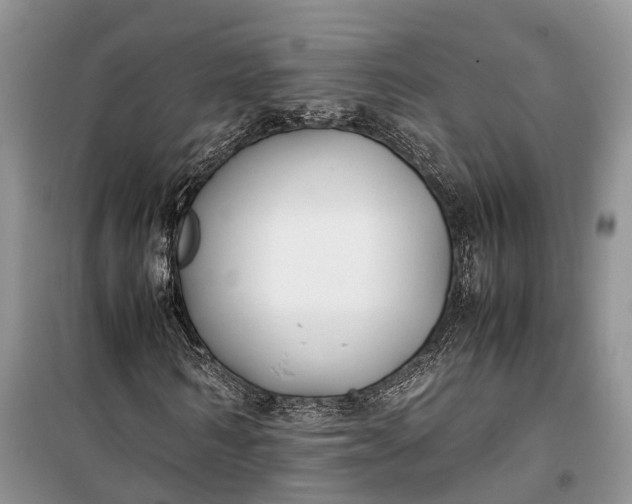 X0000100220962200806131310