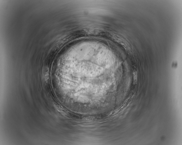 X0000100220963200806131310