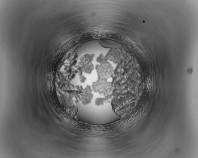 X0000100220964200806131310