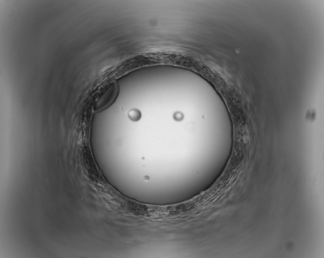 X0000100220965200806131310