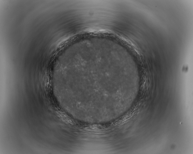 X0000100220966200806131310