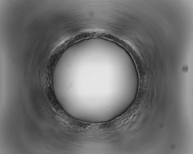 X0000100220967200806131310