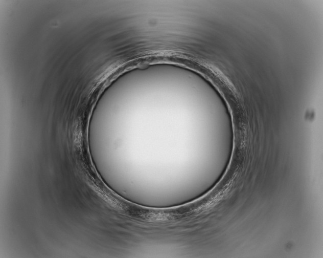 X0000100220969200806131310