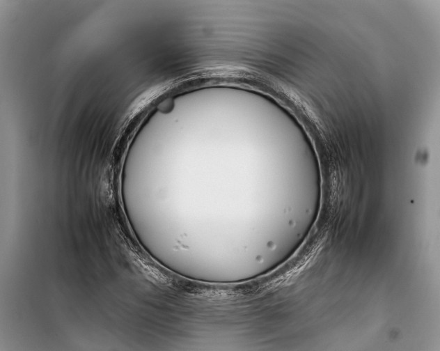 X0000100220970200806131310