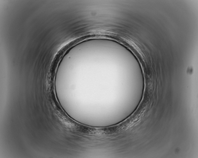 X0000100220971200806131310