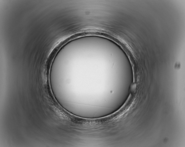 X0000100220973200806131310