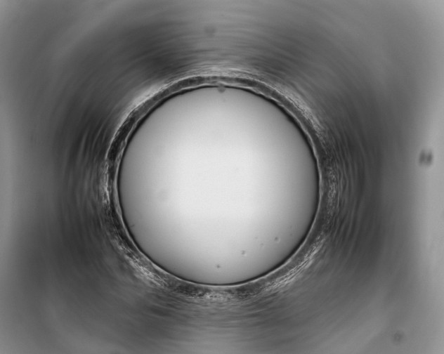 X0000100220974200806131310