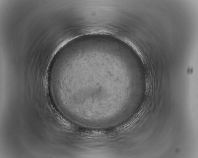 X0000100220975200806131310