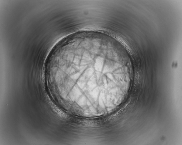 X0000100220976200806131310