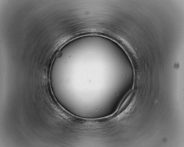 X0000100220977200806131310