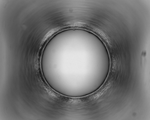 X0000100220978200806131310