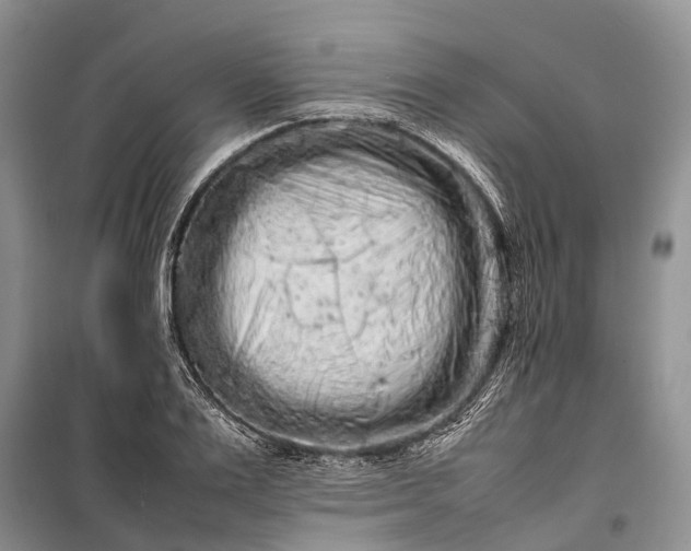 X0000100220983200806131310