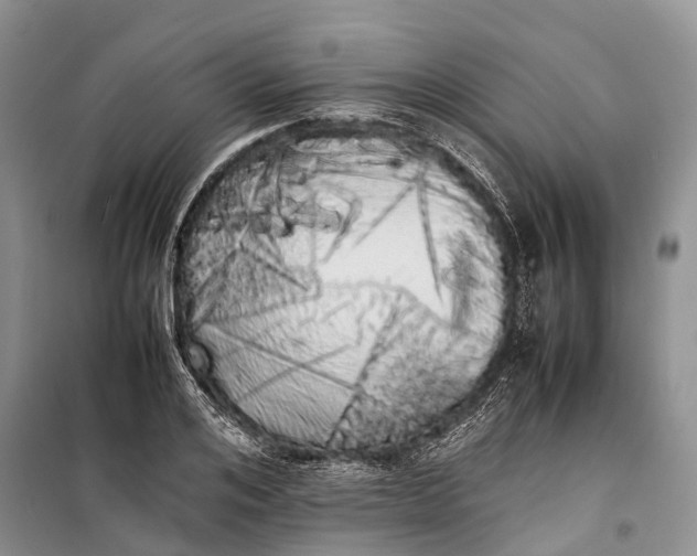 X0000100220984200806131310