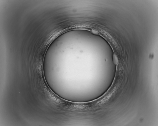 X0000100220985200806131310