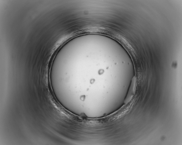 X0000100220986200806131310