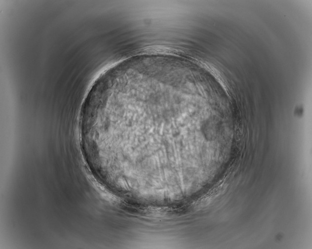 X0000100220987200806131310