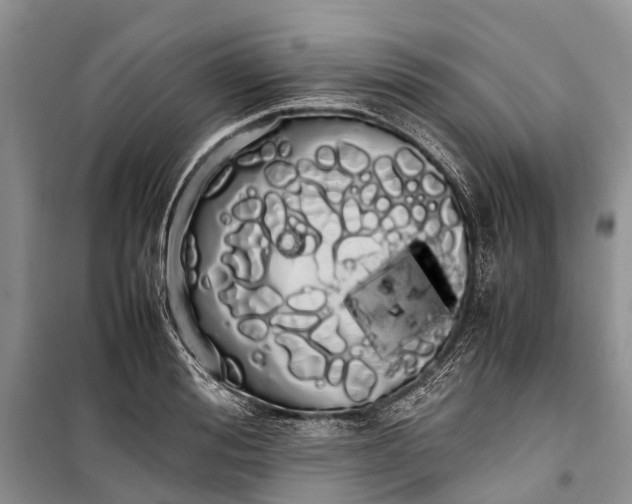 X0000100220988200806131310