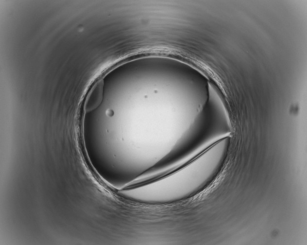 X0000100220989200806131310