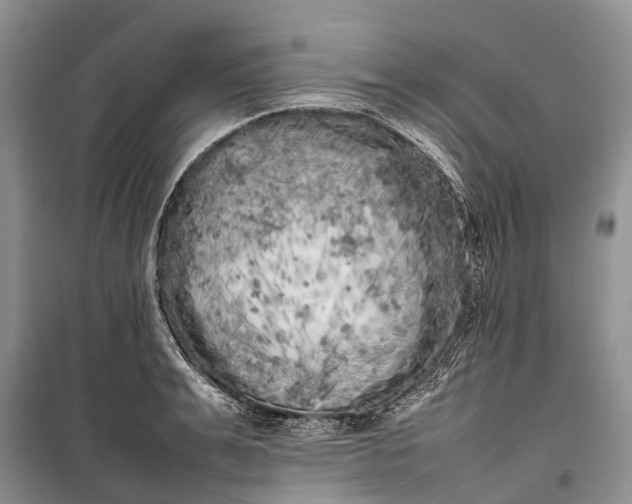 X0000100220991200806131310