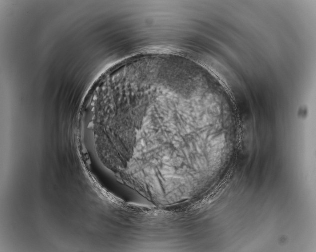 X0000100220992200806131310