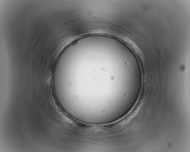 X0000100220993200806131310