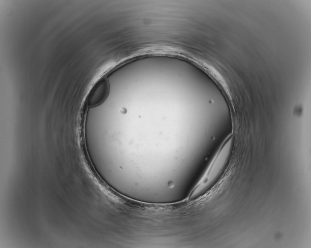 X0000100220997200806131310