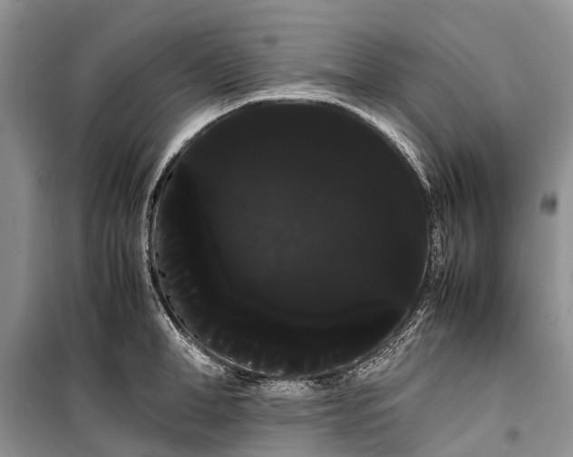 X0000100220998200806131310