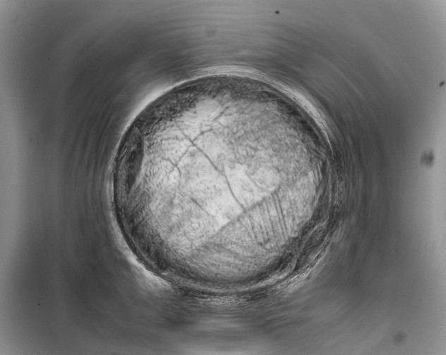 X0000100220999200806131310