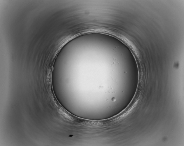 X0000100221001200806131310