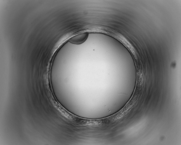 X0000100221002200806131310