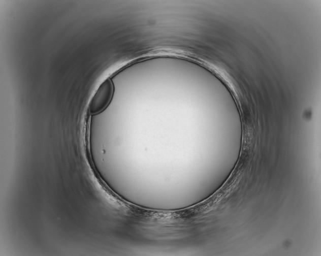 X0000100221003200806131310