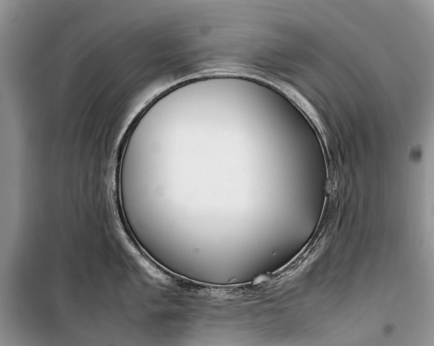 X0000100221005200806131310