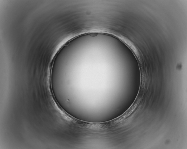 X0000100221006200806131310