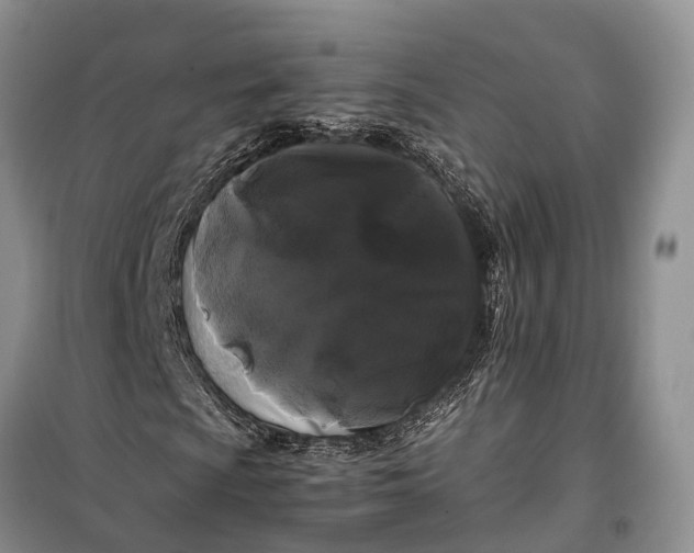 X0000100221009200806131309