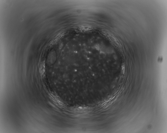 X0000100221011200806131309