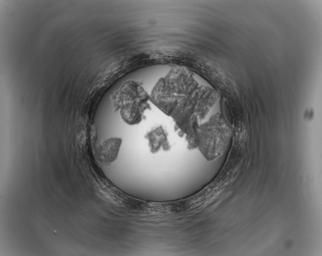 X0000100221012200806131309