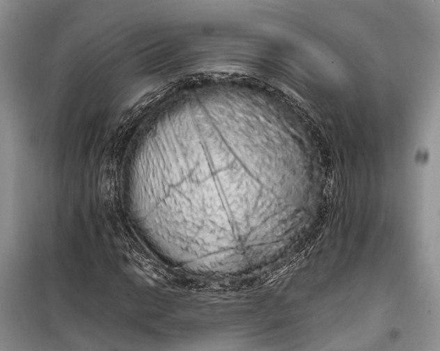 X0000100221014200806131309