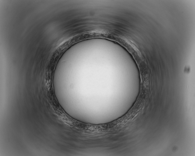 X0000100221015200806131309