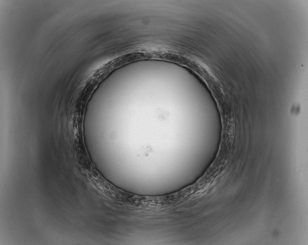 X0000100221016200806131309