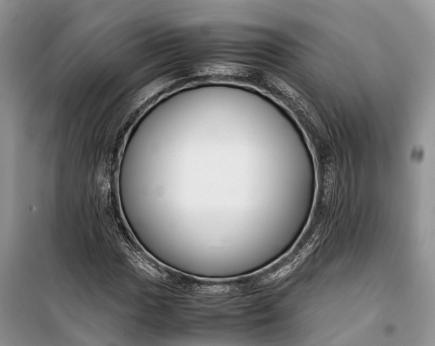 X0000100221017200806131309