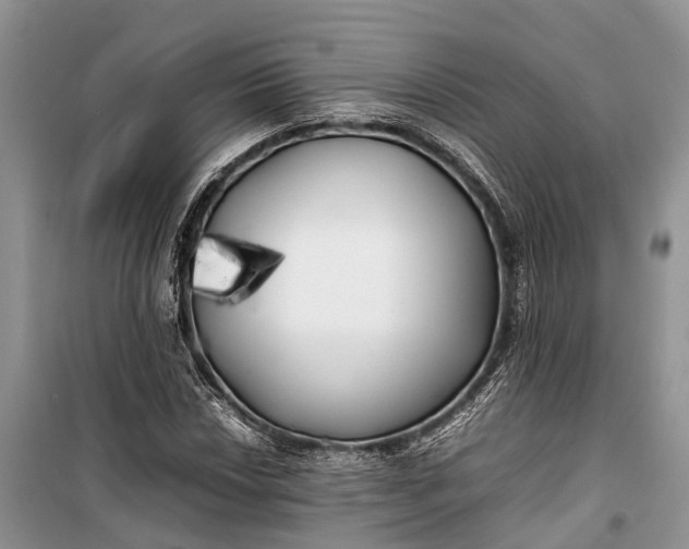 X0000100221018200806131309