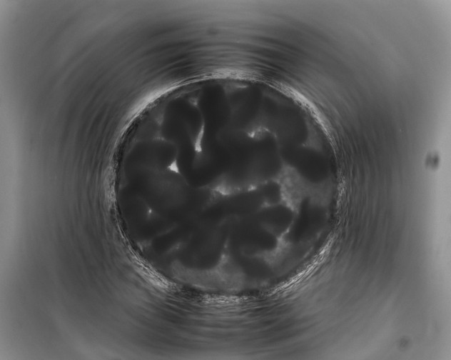 X0000100221019200806131309