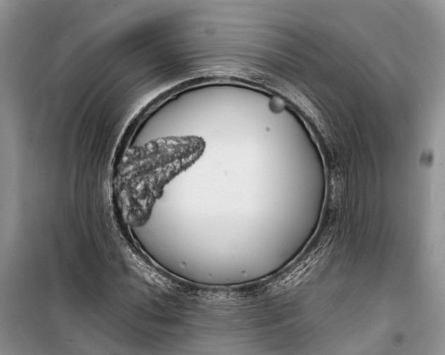 X0000100221020200806131309