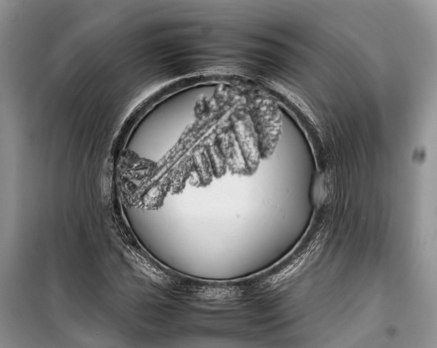 X0000100221021200806131309