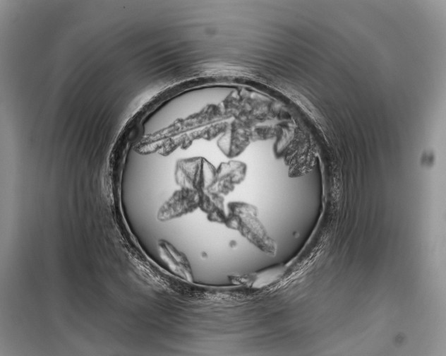 X0000100221022200806131309